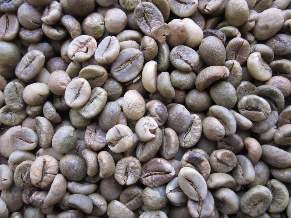 Arabica _ Robusta Raw Green Coffee Beans